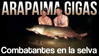 Arapaima Gigas  Combatantes en la selva  DVDklassiker från 2005 [upl. by Tarrel445]