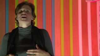 TEDxSussexUniversity  Mariana Mazzucato  The Entrepreneurial State [upl. by Sanjiv]