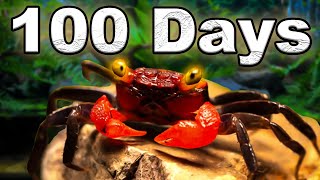 I Simulated an Island ecosystem for 100 days [upl. by Palermo658]