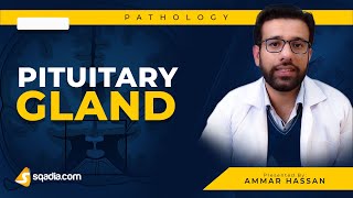 Pituitary Gland  1 Hypopituitarism  Medical Pathology  Video Lecture  VLearning [upl. by Penman988]