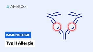 Antikörpervermittelte zytotoxische Reaktion  Typ II Allergie  Biochemie  AMBOSS Video [upl. by Edac112]