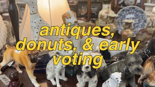 voting donuts antiques amp how much i earned  video diaries [upl. by Yeznil]