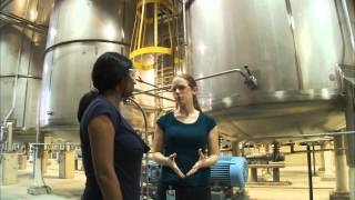 What Does a Chemical Engineer Do  Careers in Science and Engineering [upl. by Ahsoym]