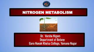 Nitrogen Fixation By Dr Varsha Nigam [upl. by Hermia]