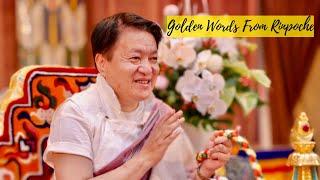 Rinpoches Golden Advice From  Dungse Garab Rinpoche In Perth Australia  Buddhism  Buddhist [upl. by Notlaw]