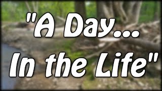 A Day in the Life of BeckBroJack 100k Celebration [upl. by Martinez]