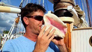 How To Blow a Conch Shell [upl. by Cindra]