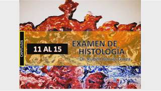 Examen de histología 34 CAPÍTULOS 11 AL 15 [upl. by Ydur]