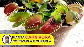 PIANTA CARNIVORA [upl. by Desdee]