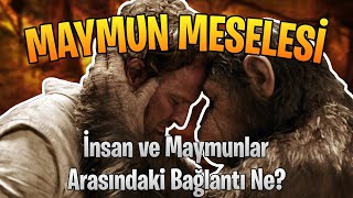 Maymun Meselesi İnsan ile Maymunların Bağlantısı Nedir [upl. by Ferna]