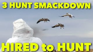 3 HUNT SMACKDOWNHired to Hunt Season 6 in SASK amp Alberta Hunt Limits of Ducks amp Geese at Ongaros [upl. by Llednil]