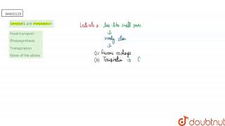 Lenticels are involved in  12  ANATOMY OF FLOWERING PLANTS  BIOLOGY  VMC MODULES ENGLISH [upl. by Kotta]