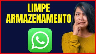 COMO LIMPAR O ARMAZENAMENTO CHEIO DO SEU WHATSAPP [upl. by Ernesta116]