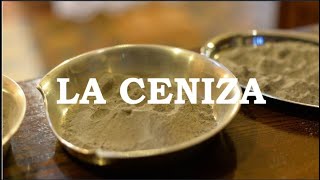 ¿POR QUÉ CENIZA [upl. by Ferretti807]