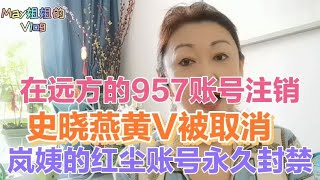 为什么在远方的957，史晓燕和岚姨的红尘账号相继出事？隐情详解 [upl. by Bautista]