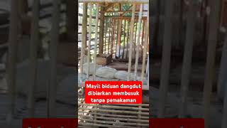 Miris  Mayit biduan cantik dibiarkan membusuk di kandang kambing [upl. by Marozik]