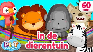 Pretlettertjes • Dierengeluiden in de Dierentuin • 60 min Special [upl. by Nylac411]