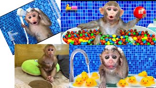 Cute Monkey  Monkey bon bon  Bathroom on monkey  monkey cute [upl. by Lerad]