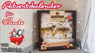 Wolfsblut Adventskalender 2022  unboxing [upl. by Codie898]