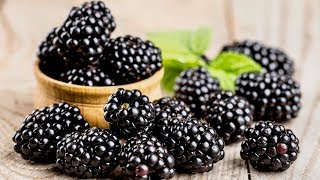 5 Incredible Health Benefits Of Blackberries [upl. by Sackville]