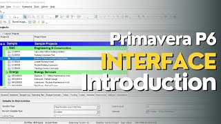 Introduction to Interface  Oracle Primavera P6 [upl. by Oiramed]