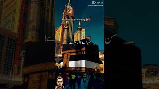 viralvideo viralshort trending youtube youtubeshorts love madinah muhammadﷺ allah [upl. by Nema731]