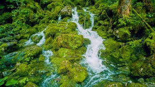 Mountain Forest Small Waterfall Screensaver No Sound — 10 Hours 4K UHD [upl. by Aelber129]