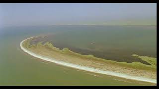 Donaudelta  Rumänien Danube delta Romania [upl. by Otreblig]