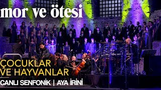 mor ve ötesi  Çocuklar ve Hayvanlar Canlı Senfonik  Aya İrini  Official Video [upl. by Alaunnoif]