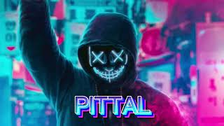 PITTAL slowed and reverb in hindi [upl. by Nylatsirhc]