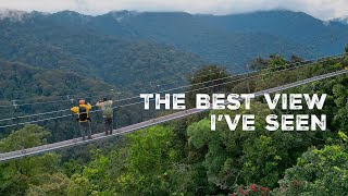 Hiking Through the Nyungwe National Park in Rwanda [upl. by Antoinetta358]