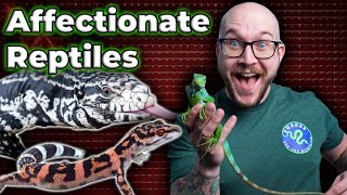 Do Reptiles Really Love You  Top 5 Most Affectionate Pet Reptiles [upl. by Giralda]