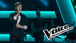 Sindre Steig – Resolution  Blind Auditions  The Voice Norge 2019 [upl. by Platas]