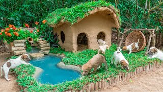 Rescue dog by Collect Abandoned Dog and Build Mud Dog House with Mini Water Fall Swimming Pool [upl. by Groh]