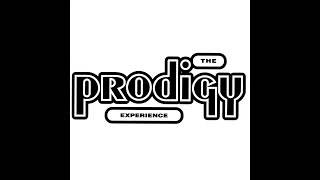 The Prodigy  Out Of Space [upl. by Pierre]