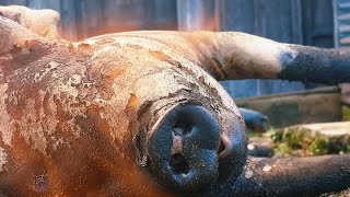 cutting pork meat  with Singrep styleAKIBANagavlogsVLvillage [upl. by Aehcim]