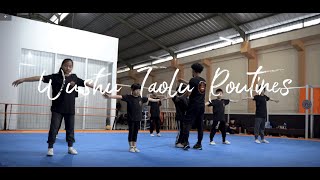 Wushu Basic Training [upl. by Sitarski359]