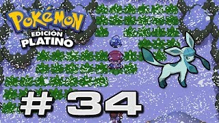 Guía Pokémon Platino  34  Ruta 217  CPuntaneva quot MO08 Treparrocas  Roca Helada y Mas quot [upl. by Kwabena]