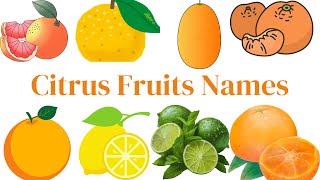 Citrus Fruits NamesCitrus Fruit ListFruits Names For KidsFruits VocabularyCitrus Fruit pictures [upl. by Niloc49]