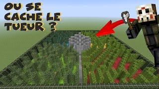 SORTEZ DU LABYRINTHE EN VIE MINECRAFT [upl. by Ahsiken]