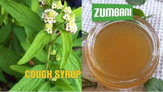 How to make zumbani herbal cough syrup  Lippia Javanica  Lemon Bush umsuzwane [upl. by Enaujed]