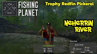 Trophy Redfin Pickerel Neherrin River  Fishing Planet [upl. by Enelyaj]