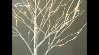 Lightshare 6FT 72L LED Birch Tree [upl. by Anneiv]