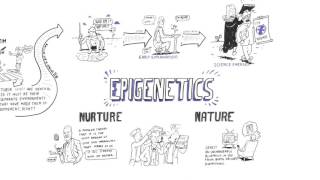 Epigenetics Nature vs nurture [upl. by Dnalra40]