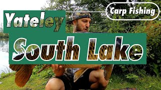 YateleySouth Lake  Carp Fishing  Big Common [upl. by Durrace159]