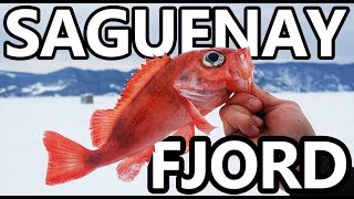 Saguenay Fjord  Fishing Village Pêche Blanche  La Baie Chicoutimi Quebec Deep Water Poisson [upl. by Zeph]