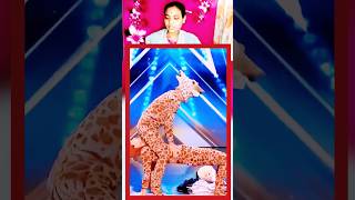 transformation video pth 001🦒🦒।। agt agtreaction art magic america transformation [upl. by Amer163]