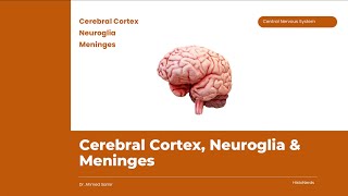 Histology of the Cerebral Cortex and Neuroglia [upl. by Neilson]