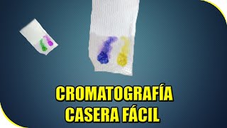 COMO HACER CROMATOGRAFÍA CASERA  EXPERIMENTOS CASEROS [upl. by Schacker]