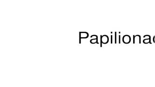 How to pronounce Papilionaceae [upl. by Egiaf]